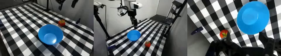 Tomato starting workspace